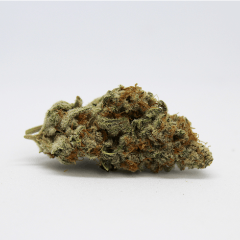 Black Cherry Punch