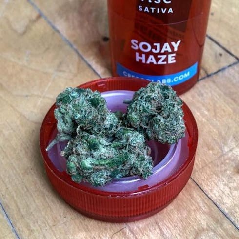 Sojay Haze