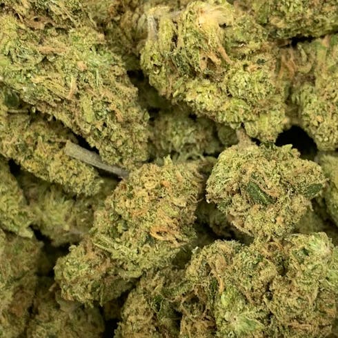 Agent Orange