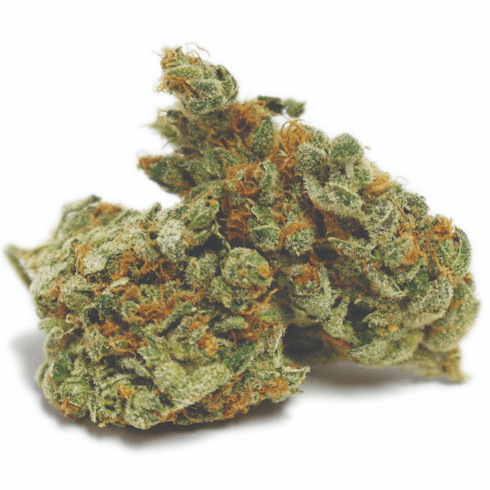 Flower - Tangie