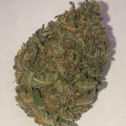 Big Bud