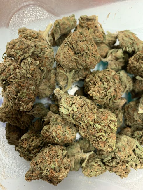 Citral Flo (Rec)