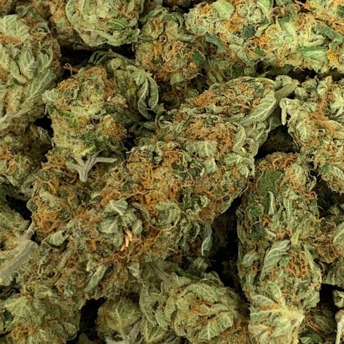 Phantom OG
