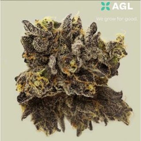 Indicol BC - 8134
