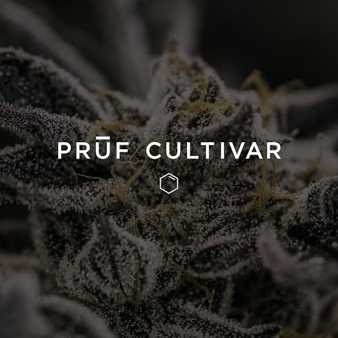 Jet Fuel Acai #3