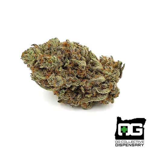 KIMBO KUSH from OG GARDENS