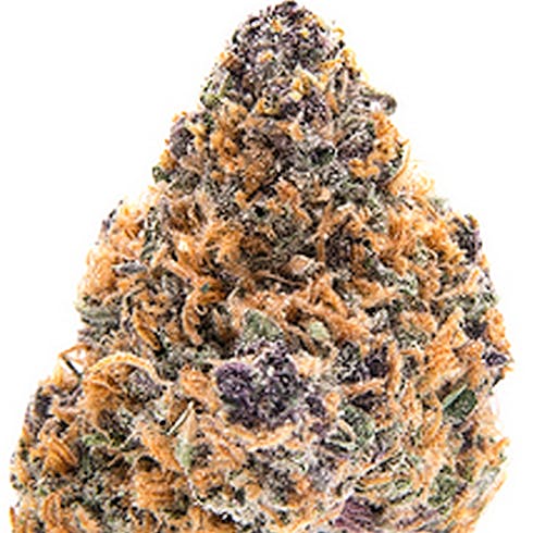 Forbidden Tangie Eighth 24.52%