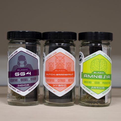 Grapefruit by Trail Blazin Productions
