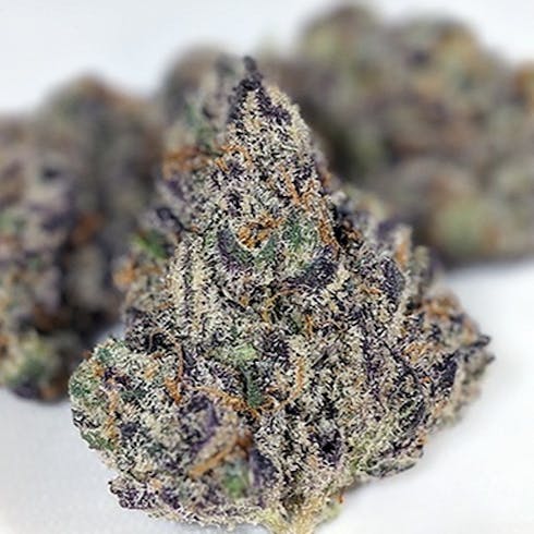 Tropicana Cookies