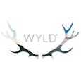WYLD - Multi-Pack (10) 100mg 1:1 Pear HYBRID Gummies (CBG/THC)