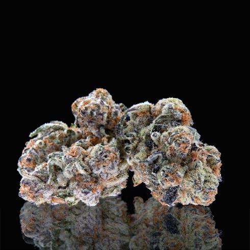 Purple Punch