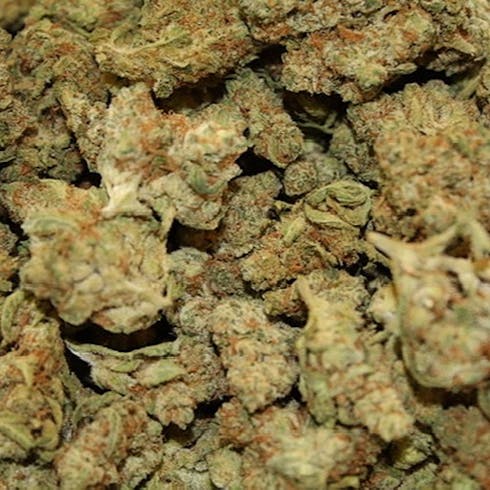 Lilac Diesel by Bonsai