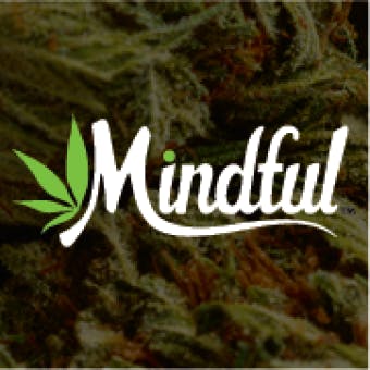 MiNDFUL - Addison (REC)