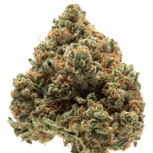 Kosher Dawg