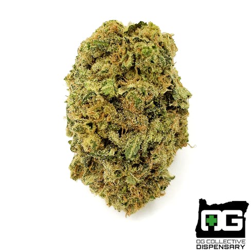 CRITICAL OG from ALBION FARMS