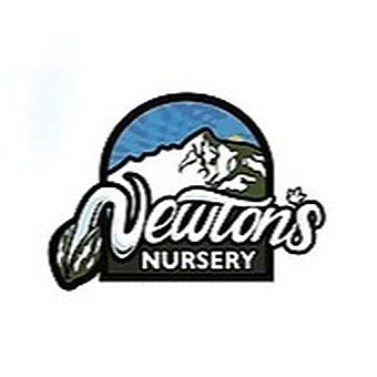 Newton's Nursery Deliver