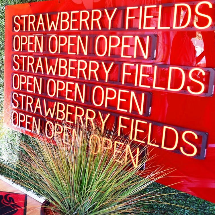 Strawberry Fields Denver