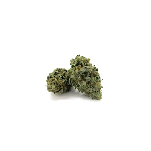 Platinum Cookies by Legacy Strains