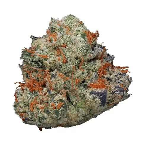 Red Tier I Gorilla Cookies