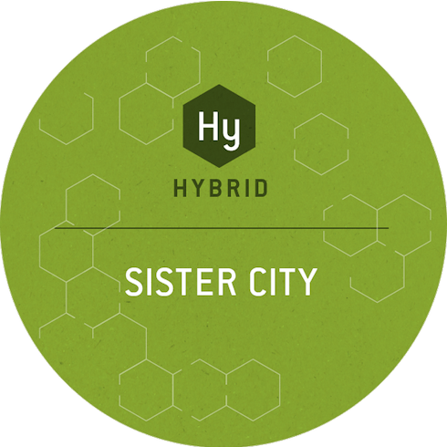Culta | Sister City | 3.5g