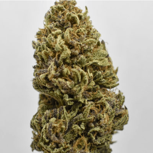 Pink Lemonade by High Five Farms