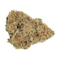 MTL CANNABIS - SAGE N' SOUR FLOWER Sativa - 3.5g