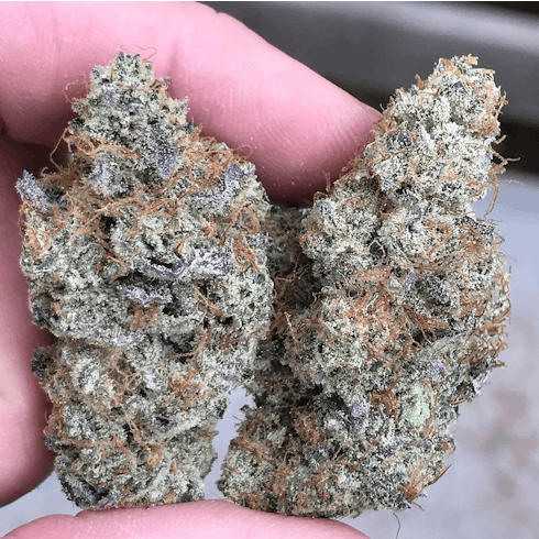 Purple Punch by Oregon Roots