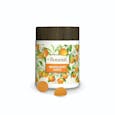 The Botanist | Edible | Mandarin Orange 1:1 Gummy | 10pk | 1 Day