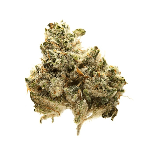 Galactic Glue 3.5g Artizen