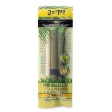 King Palm - Mini 2 PK