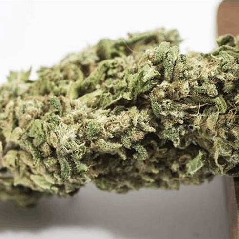 Lemon Kush