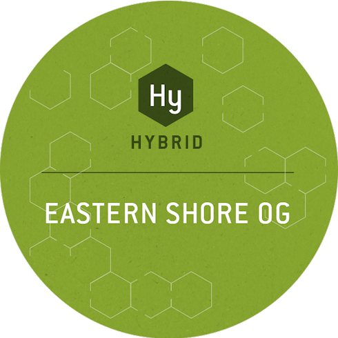 Eastern Shore OG