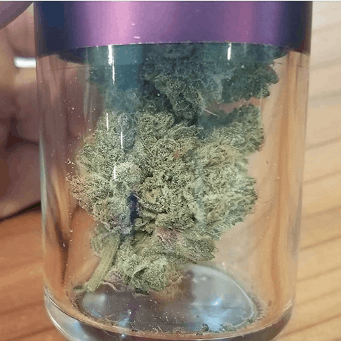 Platinum Cherry