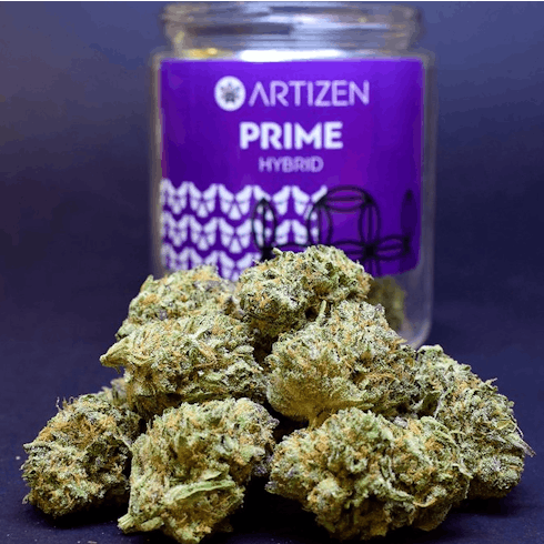 Artizen Prime 1g