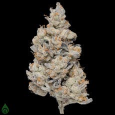 MED - Green Dot - Dali / Flower | 3.5g (Drops 11/29/25)