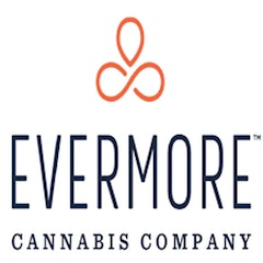 Evermore Cannabis Company Vaping Batteries & Power Black Dart Pod Battery