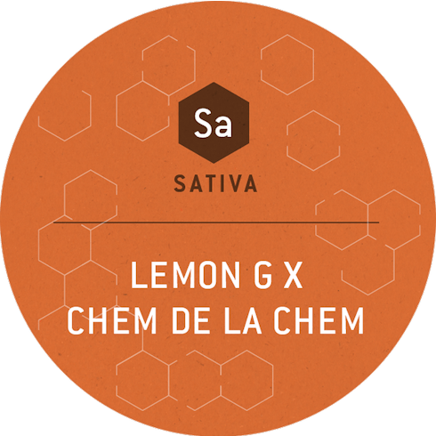 Lemon G x Chem de la Chem by Culta