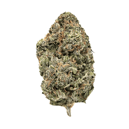 JACK HAZE