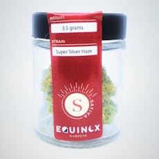 Super Silver Haze by Equinox Gardens