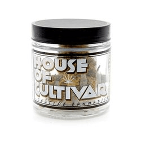 Sunburn by House Of Cultivar
