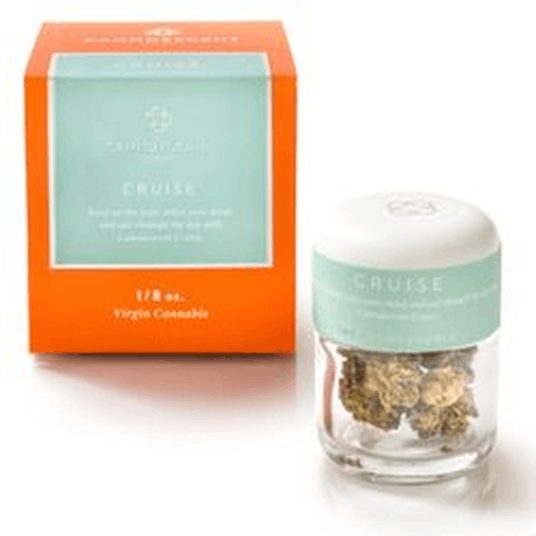 Canndescent - Cruise 215 - 1g