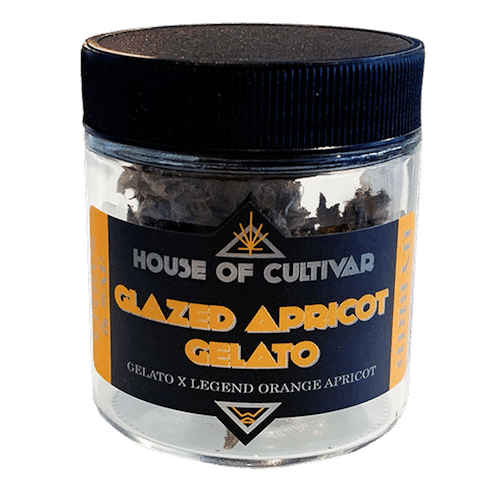 Glazed Apricot Gelato by House of Cultivar