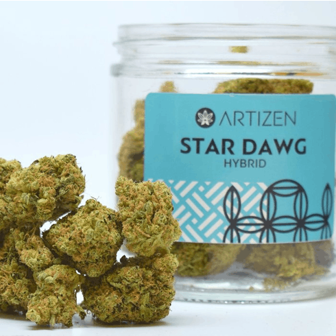 Star Dawg