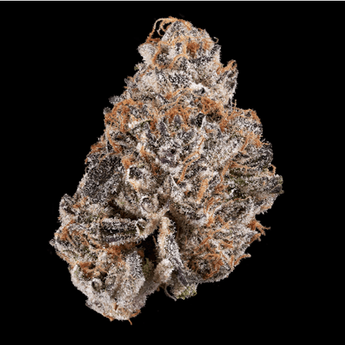 Maven 1G - Mendo Breath