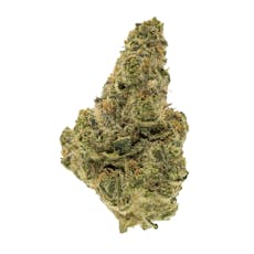 Garlic Martini (THCa)