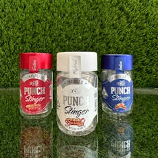 Punch Stinger Infused Prerolls Sativa