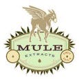 Mule Vape 1g - Blue Diesel