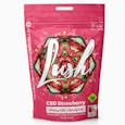 1:1 CBD Strawberry Gummies (Verdelux / Lush)