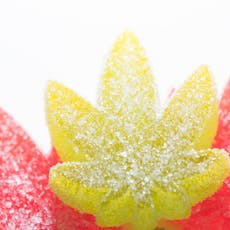 500mg Watermelon Gummies