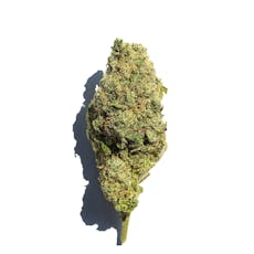 Flower 7g - Mass Super Skunk